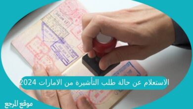 صورة الاستعلام عن حالة طلب التأشيرة من الامارات 2024