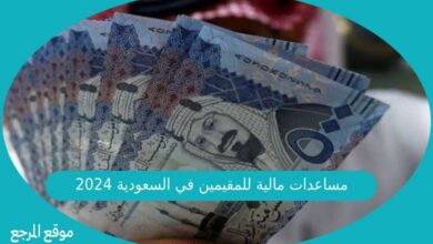 صورة مساعدات مالية للمقيمين في السعودية 2024